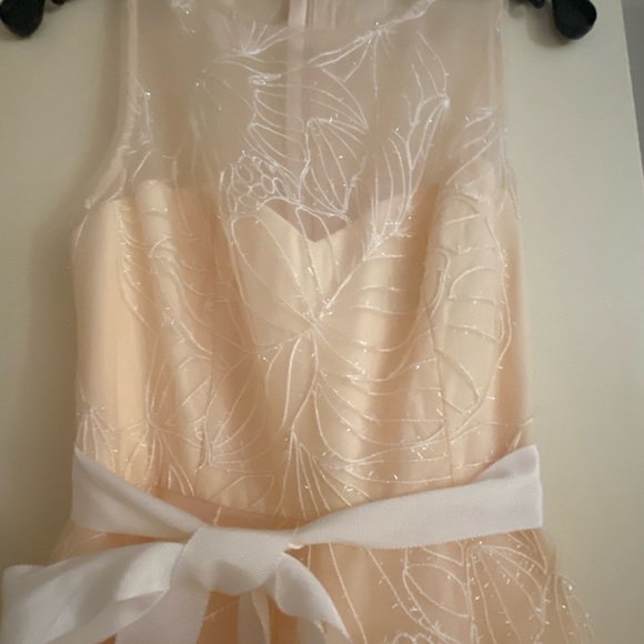BCBGMaxAzria -Cream Midi Dress w/ Metallic Floral Embroidered Tulle Overlay Sz 0 - Picture 7 of 8